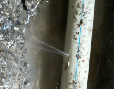 平顶山市测漏水哪家好