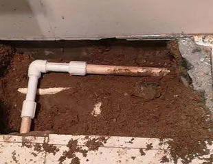 平顶山市测漏水哪家好