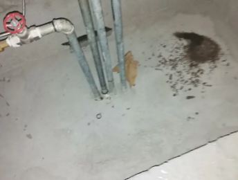 平顶山市卫生间测漏水价格明细