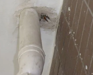 平顶山市漏水检测哪家好